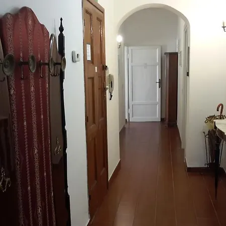 Affittacamere Pisa Lodge B&B Hostel *