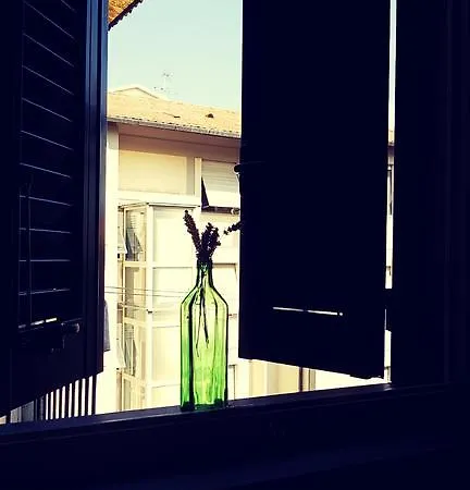 Pisa Lodge B&B Hostel Affittacamere *