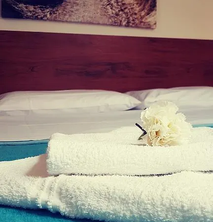 피사 롯지 B&B 호스텔 *