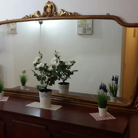 Pisa Lodge B&B Hostel Guest house